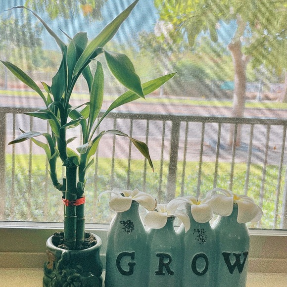 Meet your Posher, Lynne - Picture 2 of 2